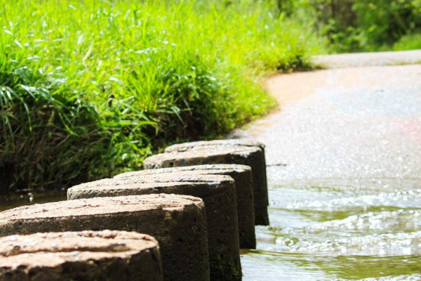 Walking paths near Bradley Farm